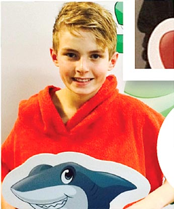 Shark