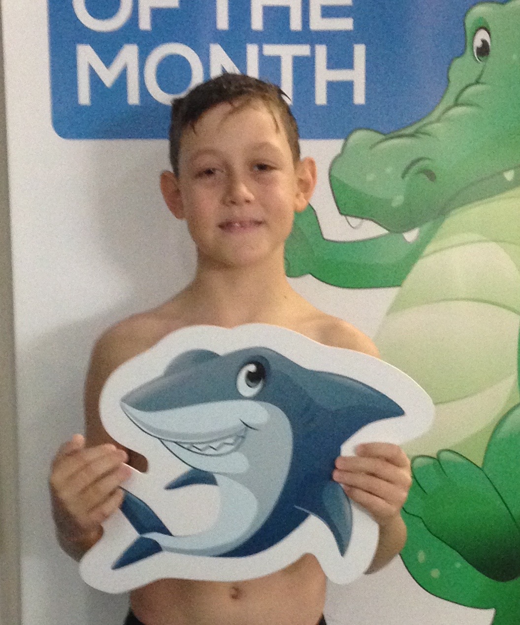 Shark