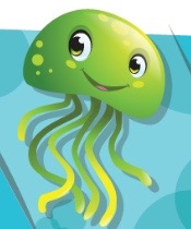 Jellyfish