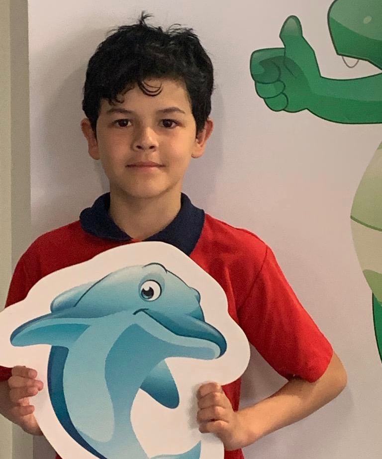 Dolphin